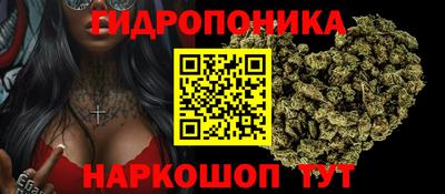 прущие грибы Моздок