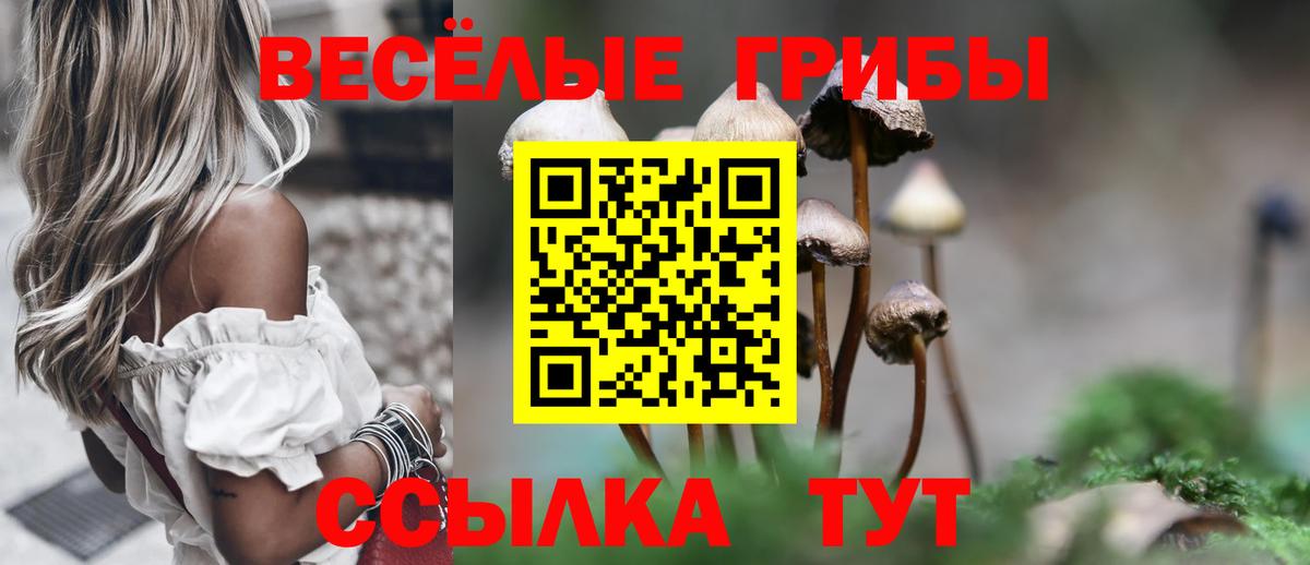 Видное  Псилоцибиновые грибы мицелий  Вход с VPN 